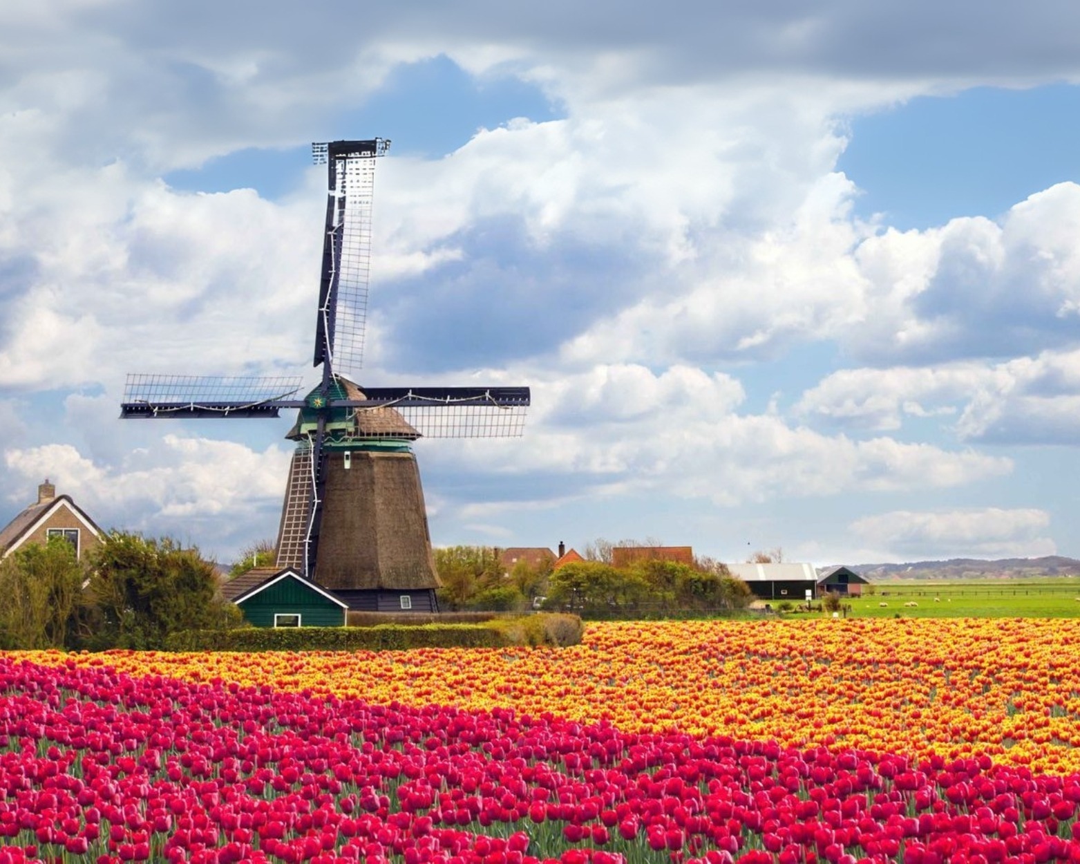 Netherlands